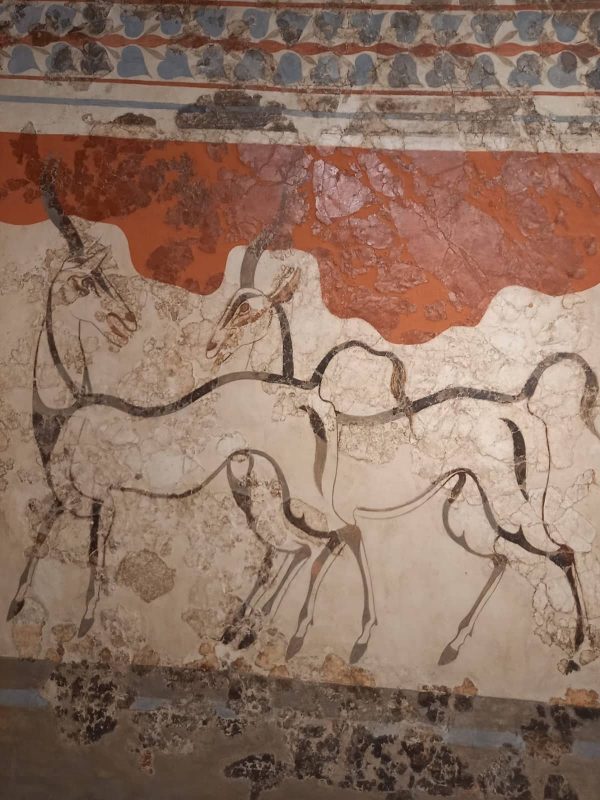 fresque-gazelles-bondissantes-palais-de-knossos-minoen